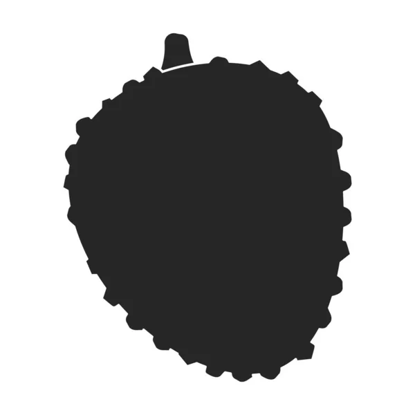 Lychee vector icon.Black vector icon isolated on white background lychee. — Stock Vector