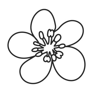 Armut vektör simgesi. Beyaz armut üzerinde izole edilmiş taslak vektör simgesi.