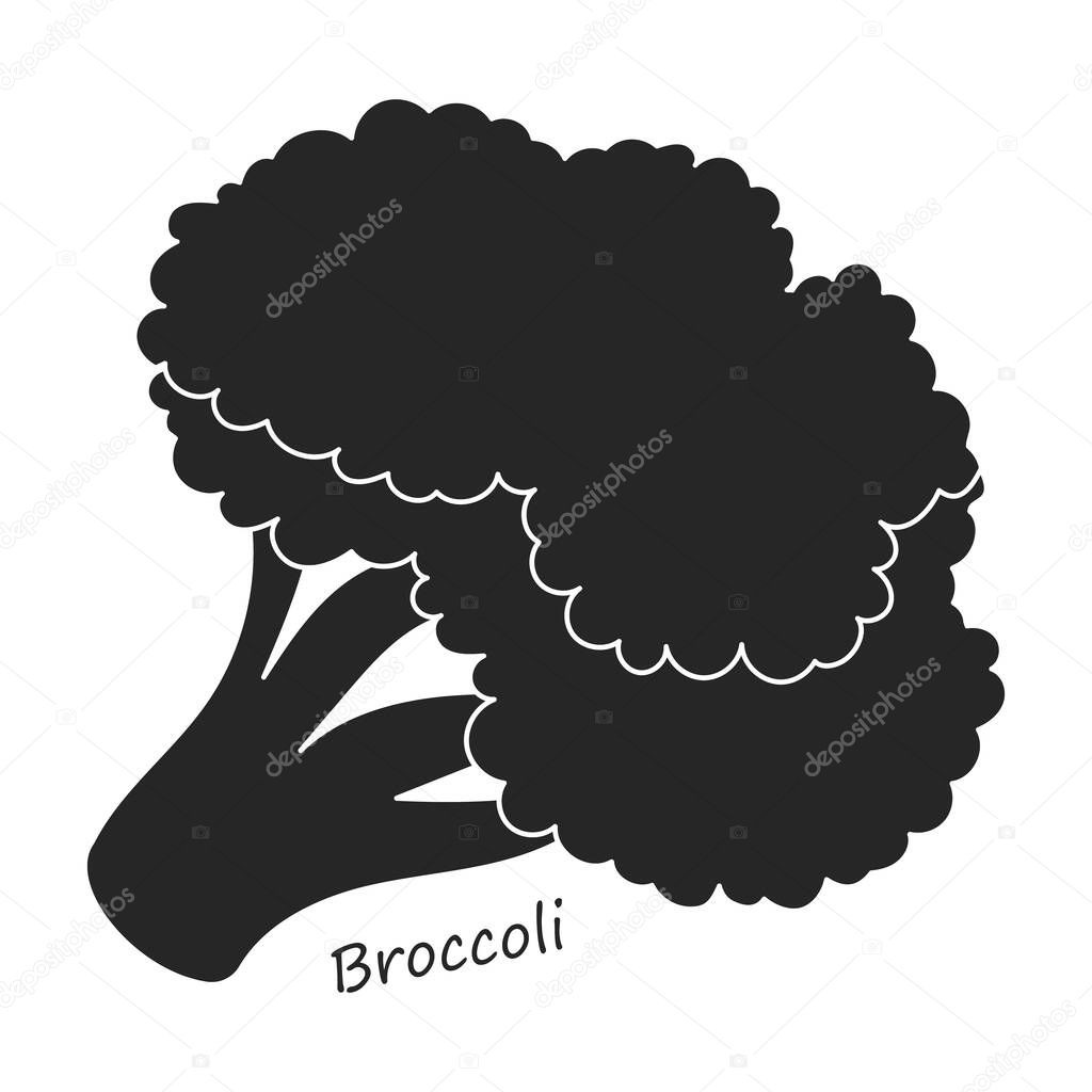 Lettuce and salad black vector of icon.Black vector illustration leaf of lettuce. Isolated illustration leaf of salad icon.