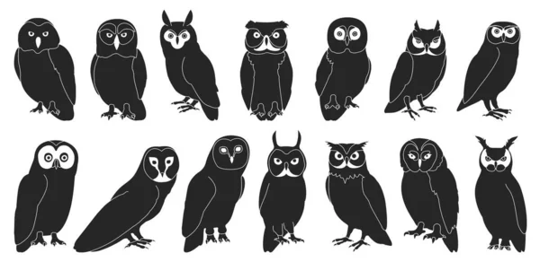 Owl bird black vector set illustration of icon. 벡터는 동물 올빼미의 아이콘이다. 흰 배경에 새 가 그려져 있는 별개 의검은 수집 그림. — 스톡 벡터