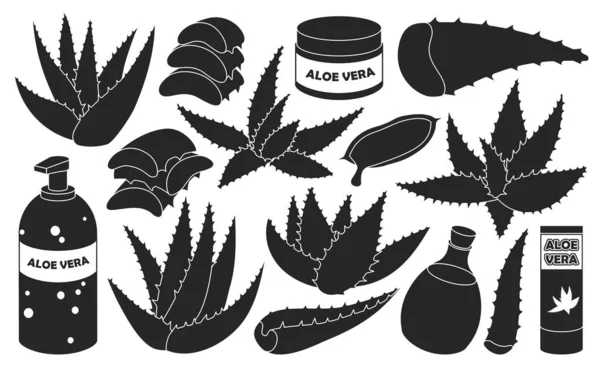 Aloe vera vektor černá sada ikona. Vektorový ilustrační kaktus na bílém pozadí. Izolovaná černá sada ikon aloe vera. — Stockový vektor