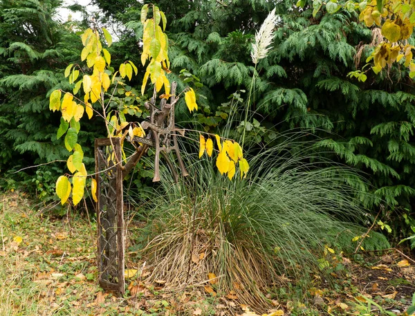 Jardín Desordenado Otoño —  Fotos de Stock