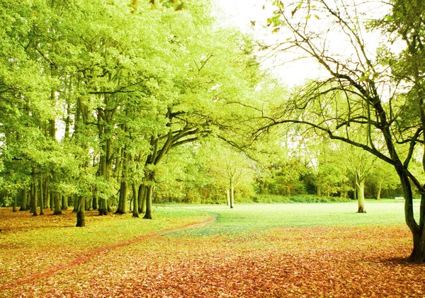 Parkland Szene Herbst — Stockfoto