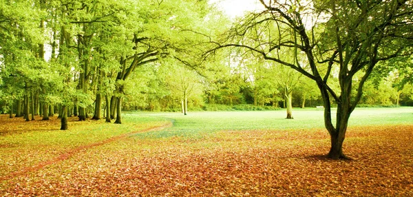 Cena Parques Durante Outono — Fotografia de Stock