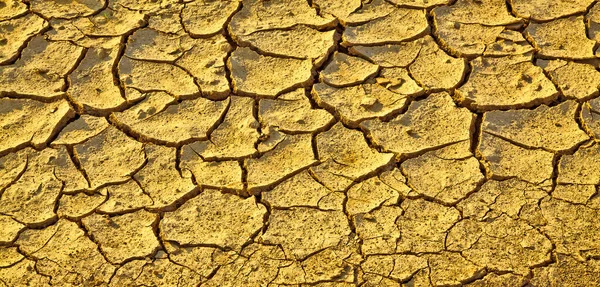 Dried Out Cracked Mud Surface — Stock Photo, Image