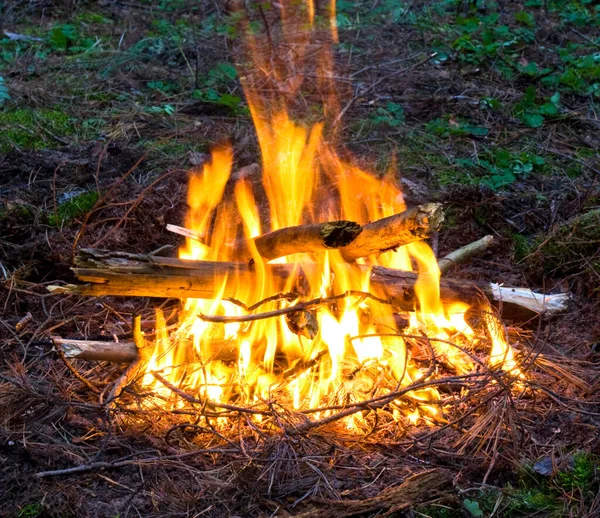 Warm Campfire Burning Example — Stock Photo, Image