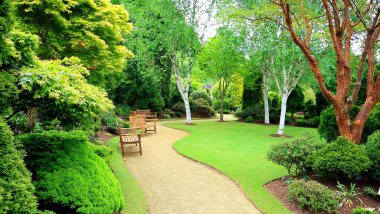 Resmi bir bahçede park bankları