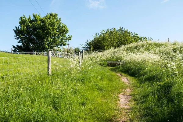 Grassy Countryside Path Hill — Stock Photo, Image