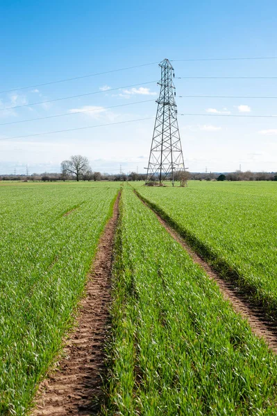 Pilão Eletricidade Campo Cultivo — Fotografia de Stock