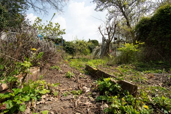 放置された庭の道 — ストック写真