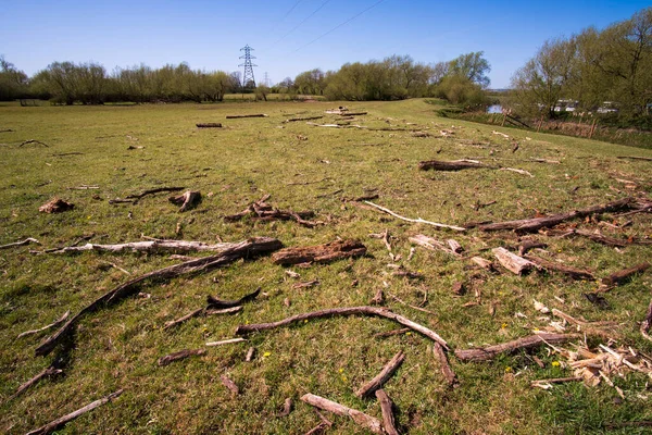 Scattered Driftwood Field Flood — Stock Photo, Image