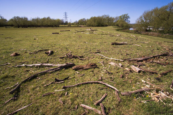 Scattered driftwood in a field after a flood