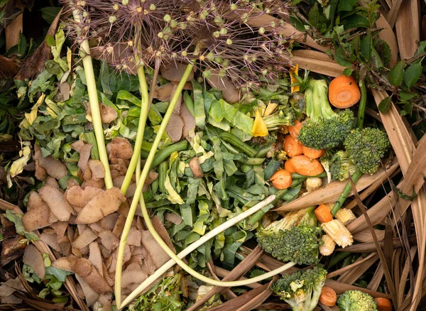 Sbucciature Rifiuti Giardino Sfondo — Foto Stock