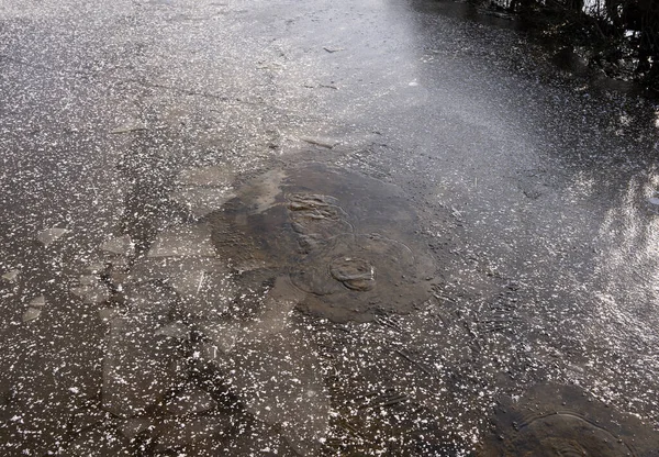 凍るような洪水で覆われた地面は — ストック写真