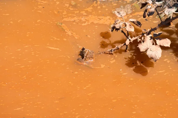 汚れた汚染水の例 — ストック写真