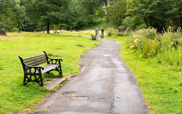 Banc Vide Près Sentier Parc — Photo