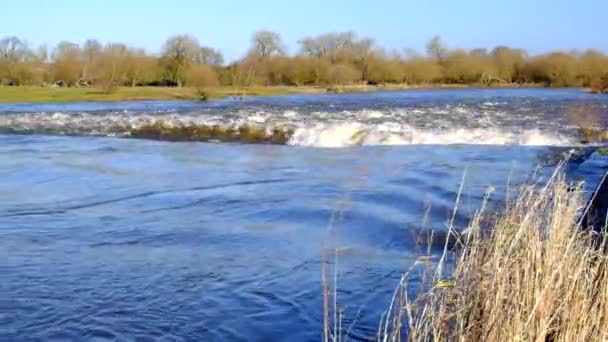 Flood River Weir Cenário — Vídeo de Stock