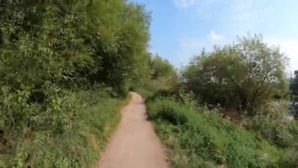 Cycling Narrow Country Path — Stock Video