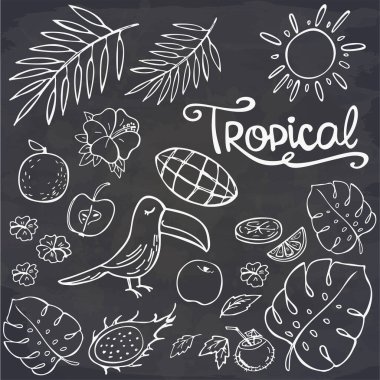 Yaz karalamaları, karatahtaya tukan ve tropikal yapraklar. Seyahat ve tatil amblemleri ve sembolleri. Vektör çizimi. Tebrik kartı, pankart, kartpostal, baskı için mükemmel..