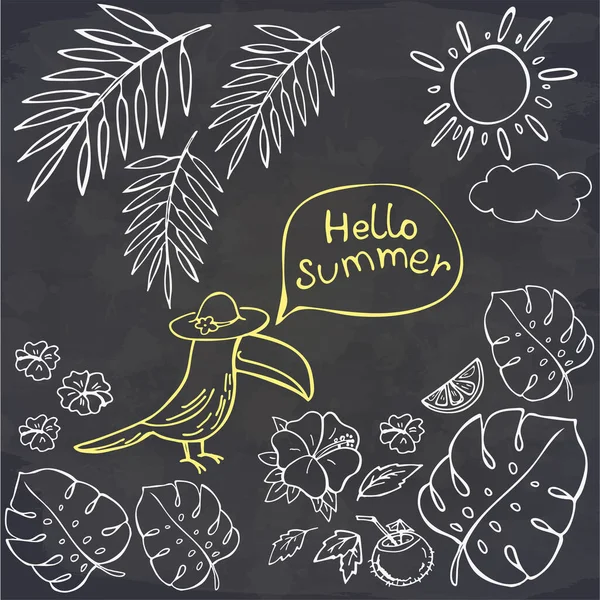 Elle Çizilmiş Toucan Hello Summer Tebeşirle Çizilmiş Tropik Yapraklar Vektör — Stok Vektör