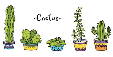 Beyaz arka planda tencerede renkli kaktüsler. Karalama. Vektör çizimi. Pankart, davetiye, tebrik kartı, baskı için mükemmel.