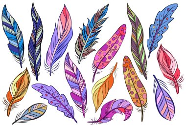 Beyazın üzerinde izole edilmiş renkli kuş tüyleri. Vektör. Düğün davetiyeleri, kartlar, biletler, tebrikler, markalaşma, logo etiketi, amblem için yaratıcı bohem konsepti.