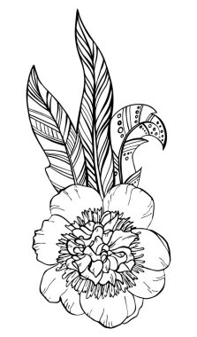 El çizimi şakayık çiçeği ve beyaza izole edilmiş etnik tüyler. Düğün, davet, tarih ve tebrik kartları için karalama tasarımı ögesi.