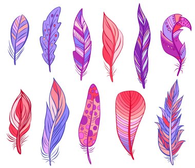 Beyazın üzerinde izole edilmiş renkli kuş tüyleri. Vektör. Düğün davetiyeleri, kartlar, biletler, tebrikler, markalaşma, logo etiketi, amblem için yaratıcı bohem konsepti.