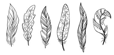 Beyaz üzerine izole edilmiş kuş tüyleri. Vektör. Düğün davetiyeleri için yaratıcı konsept, kartlar, biletler, tebrikler, markalaşma, logo etiketi, amblem.