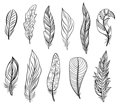 Beyaz üzerine izole edilmiş kuş tüyleri. Vektör. Düğün davetiyeleri için yaratıcı konsept, kartlar, biletler, tebrikler, markalaşma, logo etiketi, amblem.