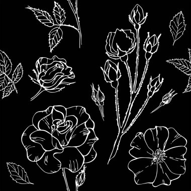 Siyah arkaplandaki güllerin kusursuz deseni. Çiçek deseni. Vektör çizimi. Davetiye için mükemmel, tebrik kartı, moda baskısı, afiş, tekstil için poster, moda tasarımı.