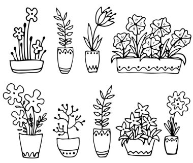 Beyaz arka planda saksıdaki çiçekler. Karalama. Vektör çizimi. Boyama kitabı, tebrik kartı, baskı ve davetiye için mükemmel..