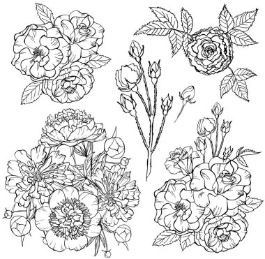 Beyaz arka planda izole gül buketi. Vektör çizimi. Davetiye, tebrik kartı, kartpostal, baskı, moda tasarımı için mükemmel..