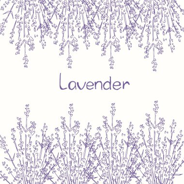 Mürekkep kalemle çizilmiş lavanta çiçekleri ve metin için yer. Tebrik kartı, kartpostal, parmak izi şablonu.