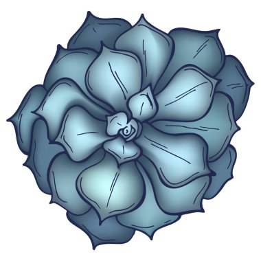 Beyaz arka planda, el yapımı gri sulu, izole edilmiş. Çölde çiçekler. Vektör çizimi. Pankart, davetiye, tebrik kartı, baskı için mükemmel.