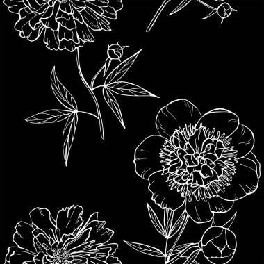 Siyah arka planda kusursuz şakayık deseni. Çiçek deseni. Vektör çizimi. Davetiye için mükemmel, tebrik kartı, moda baskısı, afiş, tekstil için poster, moda tasarımı.