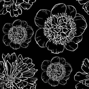 Siyah arka planda kusursuz şakayık deseni. Çiçek deseni. Vektör çizimi. Davetiye için mükemmel, tebrik kartı, moda baskısı, afiş, tekstil için poster, moda tasarımı.