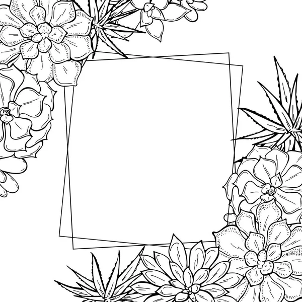 Handgetekend Frame Van Vetstoffen Een Witte Achtergrond Bloemen Woestijn Vector — Stockvector