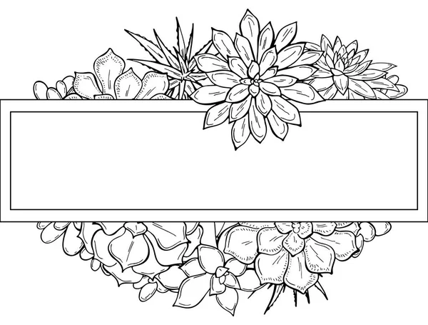 Cadre Dessiné Main Plantes Succulentes Sur Fond Blanc Des Fleurs — Image vectorielle