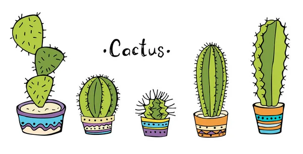 Set Cactus Colorati Una Pentola Sfondo Bianco Doodle Illustrazione Vettoriale — Vettoriale Stock