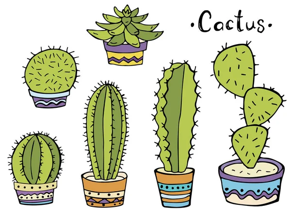 Set Van Kleurrijke Cactus Een Pot Een Witte Achtergrond Doodle — Stockvector