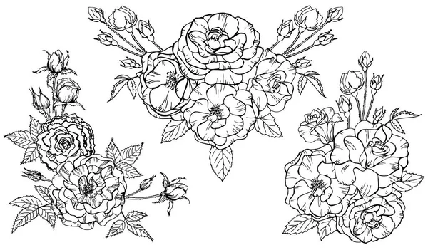 Bouquet Roses Isolé Sur Fond Blanc Illustration Vectorielle Parfait Pour — Image vectorielle