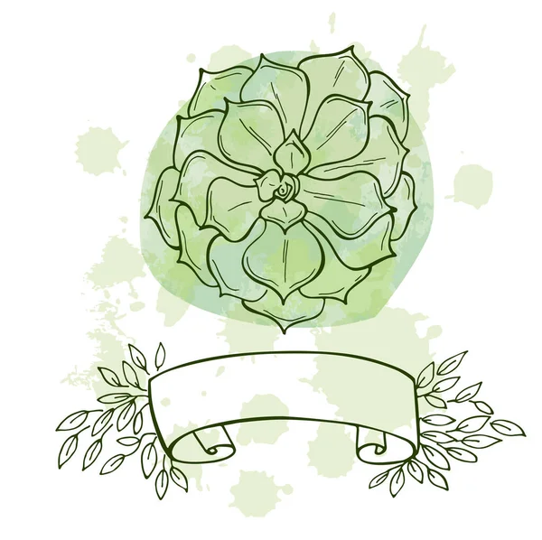 Succulento Disegnato Mano Con Spazio Testo Sfondo Verde Acquerello Fiori — Vettoriale Stock