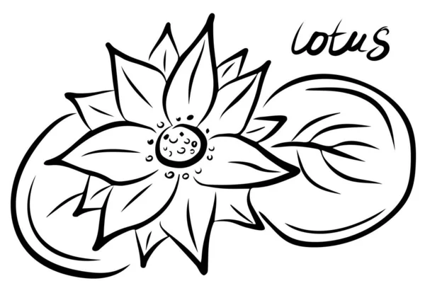 Цветок Лотоса Выделен Белом Фоне Векторная Иллюстрация — стоковый вектор