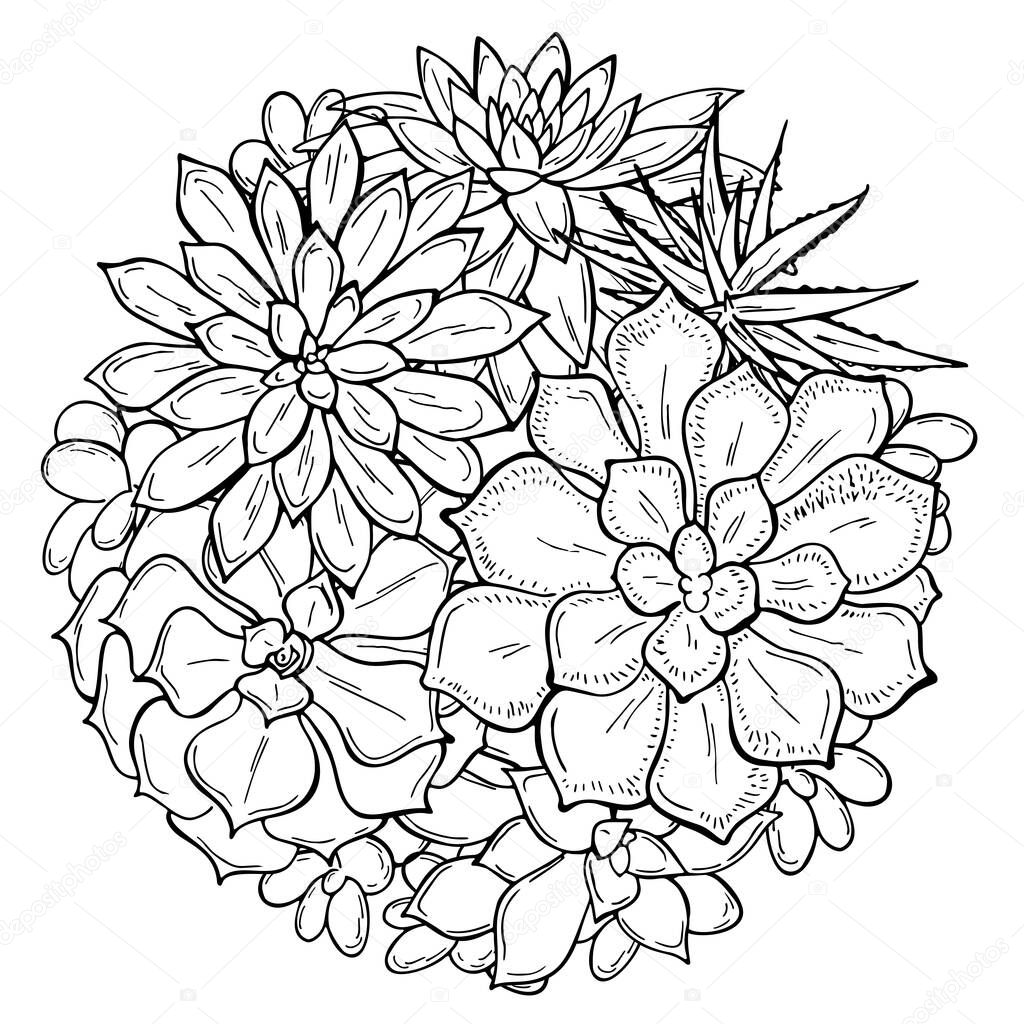 Bouquet of succulents on a white background. Flowers in the desert. Vector illustration. Perfect for coloring book, invitation,greeting card, print.