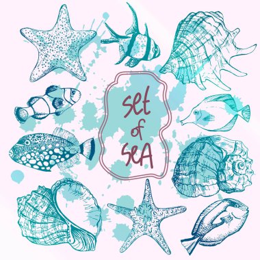 Deniz kabukları, denizyıldızı ve tropikal balıkların vektör çizimleri. Denizci takımı. Davetiyeler, tebrik kartları, kartpostallar, posterler, baskılar, afişler için mükemmel. Tüm elementler izole ve düzenlenebilir..