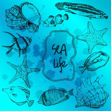 Deniz kabukları, denizyıldızı ve tropikal balıkların vektör çizimleri. Denizci takımı. Davetiyeler, tebrik kartları, kartpostallar, posterler, baskılar, afişler için mükemmel. Tüm elementler izole ve düzenlenebilir..