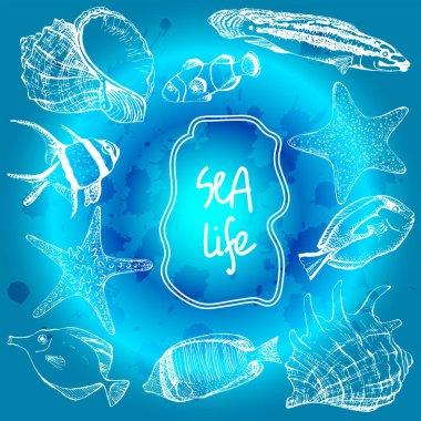 Deniz kabukları, denizyıldızı ve tropikal balıklar. Denizci takımı. Davetiyeler, tebrik kartları, kartpostallar, posterler, baskılar, afişler için mükemmel. Tüm elementler izole ve düzenlenebilir..