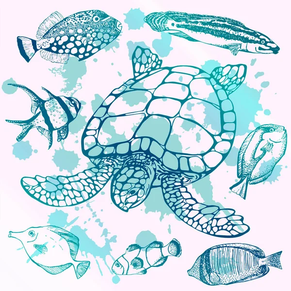 Sea Turtle Tropical Fish Marine Set Perfect Invitations Greeting Cards — Stock Vector