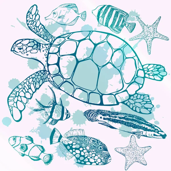 Meeresschildkröte Handgezeichnete Vektorillustration Schildkröte Isoliert Auf Weißem Hintergrund — Stockvektor